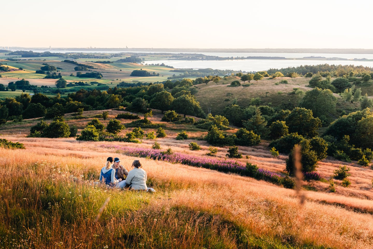 Nationalpark Mols Bjerge gyldent lys